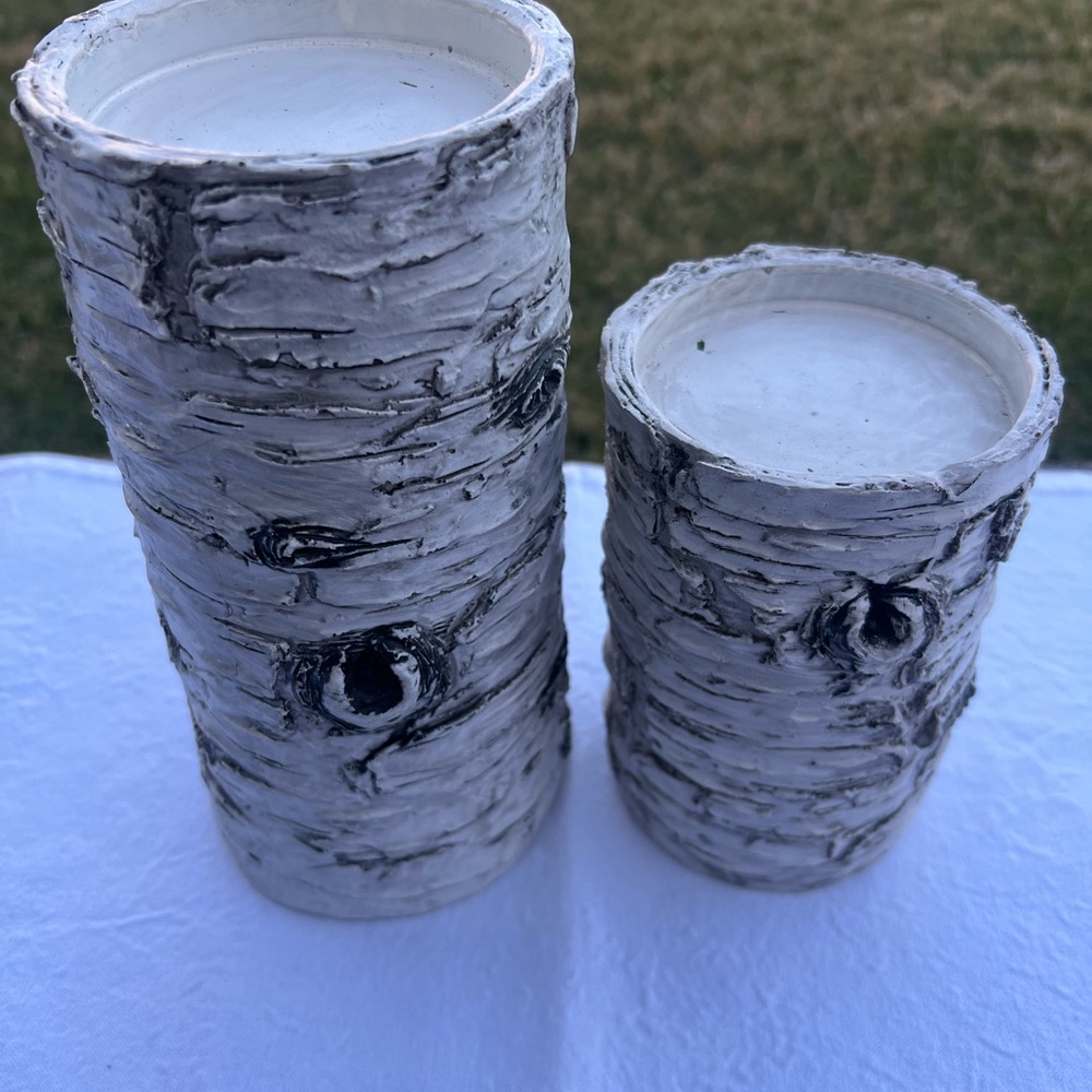 White Birch Bark Decorative Vase Set - Home Accents